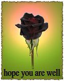 th_hope-you-are-well.jpg