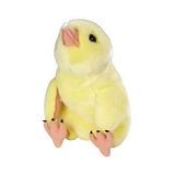 Chick.jpg image by lcd12